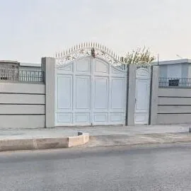 EÝESINDEN SATLYK HOWLY GYPJAK