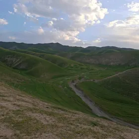 Bagtyýarlyk markede işgär gere