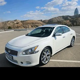 Nissan Maxima 2010