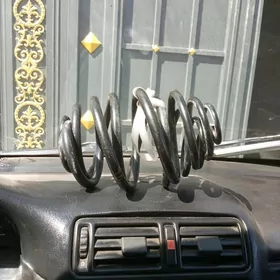 Вита пуржин vita puržin yzke