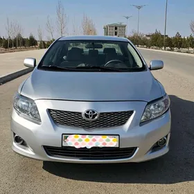 Toyota Corolla 2010