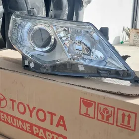 Kemry 2012 Fara Haliji