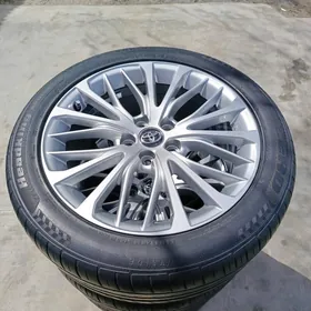 Camry radnoý disge pakryşga 18