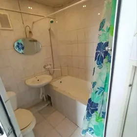 Гаудан В 1 ком