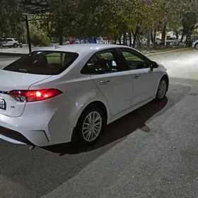 Toyota Corolla 2022