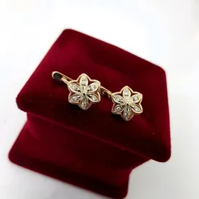 Gadym Brilliant gulakhalka