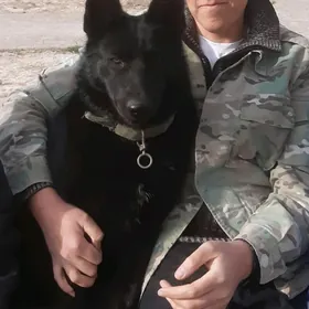 awçarka ŷewra peŷski