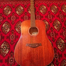 Whizz gitara elektron