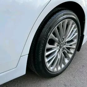 Avalon Brazgawyk 2018-2022ýyl