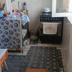 Безмейин Томатный 3х