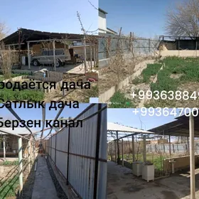 берзен канал дача