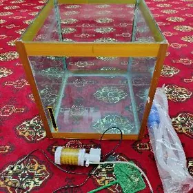 Akvaryum Аквариум