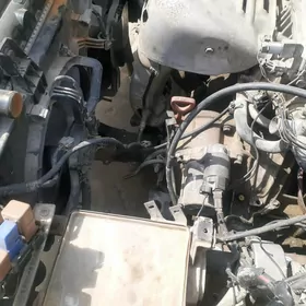 Mator,karopga Babyçga