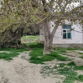 Satlyk jay сатлык жай