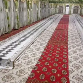 Gûmmez palatanyň zanweskasy