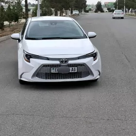 Toyota Corolla 2021