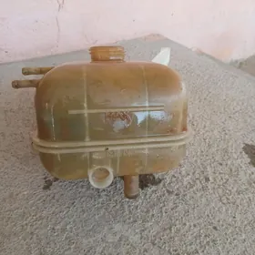 gazel antfris baçok