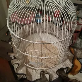 Большая клетка для