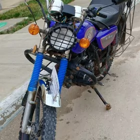 Fekon FK200-14G 2022