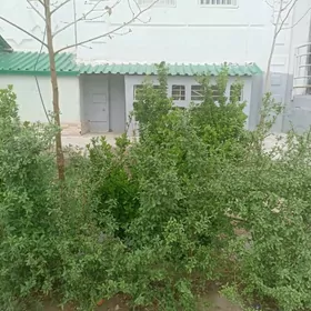 Satlyk Mir 7/3 .9/1.etaź.4 kom