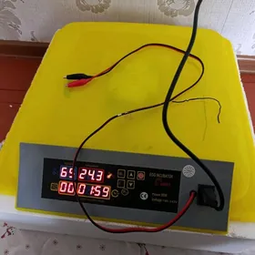 inkubator HHD 12 wolt