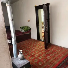 Coganly arenda howly