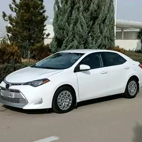 Toyota Corolla 2018