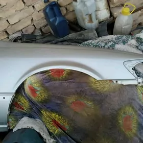 Babyçka sag tarap öñ krel mord