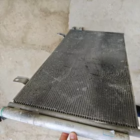 okuz kella bolyar aziyada Camr