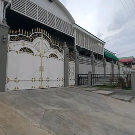 Satlyk plan jay coganly 8sotyk