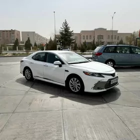 Toyota Camry 2021