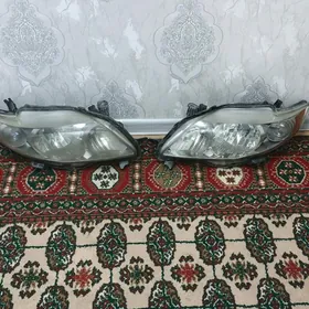 fara karolla le 2008 2010