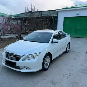 Toyota Aurion 2013