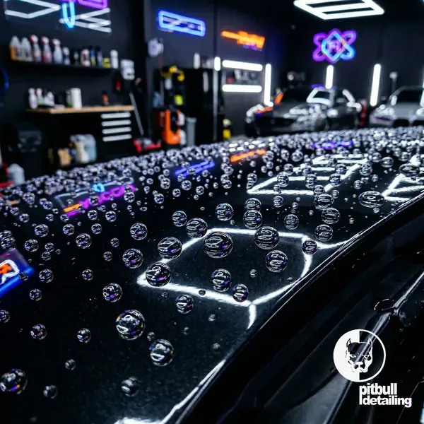Pitbull Detailing Gallery 4
