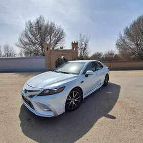 Toyota Camry 2021