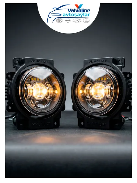 Toyota Lexus Nissan Hyundai Gallery 1