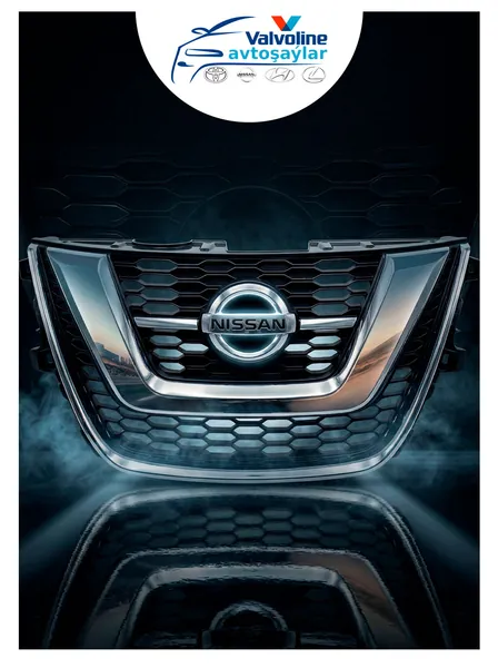 Toyota Lexus Nissan Hyundai Gallery 8