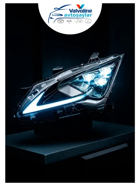 Toyota Lexus Nissan Hyundai Gallery 10