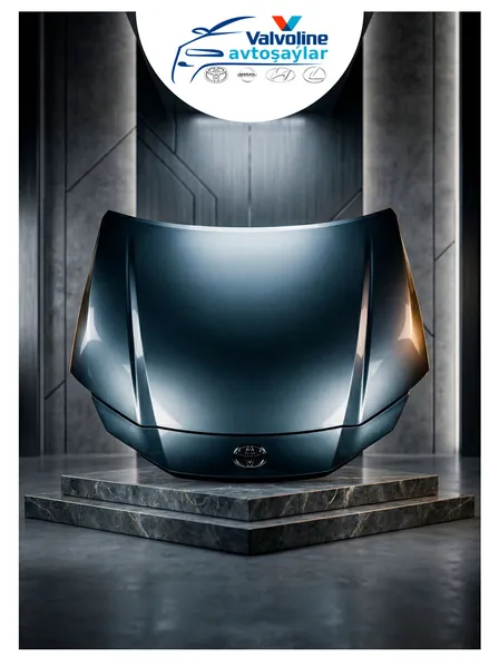 Toyota Lexus Nissan Hyundai Gallery 2