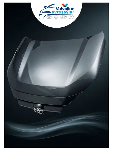 Toyota Lexus Nissan Hyundai Gallery 9