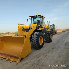 XCMG LW500F 2019