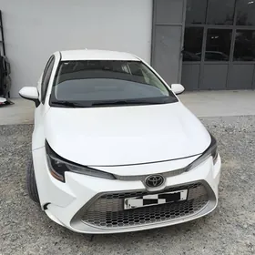 Toyota Corolla 2020