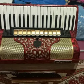 Аккордеон/ Akkordeon