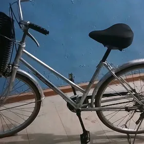 T I G I R..... YAPOSKA.....