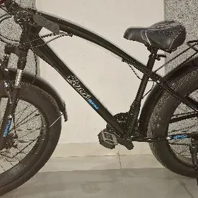 Tigir MBW renki gara