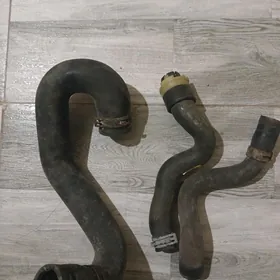 астра ж патрупка