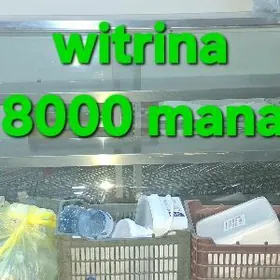 Holodilnik morozilka witrina