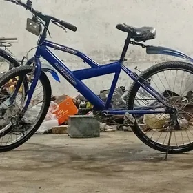 sport iwni welik 6 skor