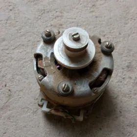 элэктромаиор