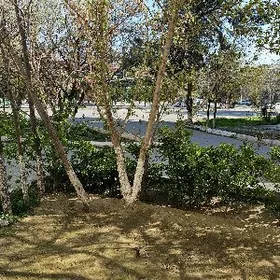 Шевченко Репина 4/1-эт 2-Выход